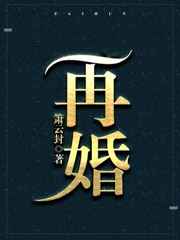 再婚进行时全集免费观看西瓜影音