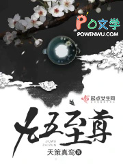 九五至尊电视剧国语版免费